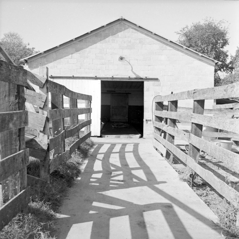 013_There's the door. (1954).jpg